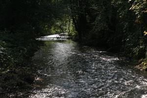 Drietomica nad Drietomou, TMP_AstaAsta_045_1